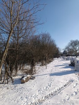 Palivové dřevo špalíky - 2