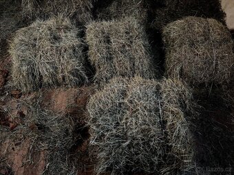 Seno malé balíky - 2