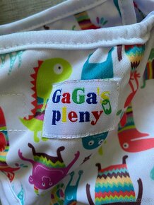 Gagas Pleny - 2