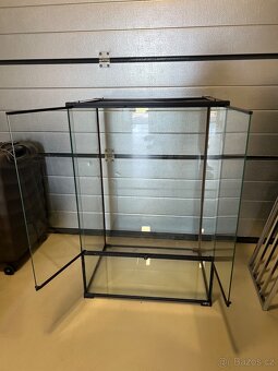Terarium - 2