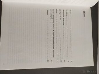 Slovník sociální práce - Oldřich Matoušek - 2