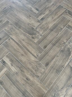 Kachličky Carme a Picasso tinder - 2