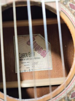 Kytara Strunal 4855 - 2