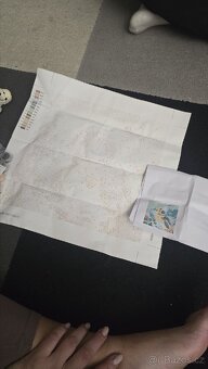 Sada na malovani  želva - 2