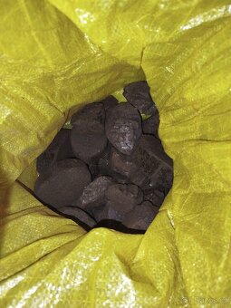 Uhlí a uhelné brikety Rekord - 2