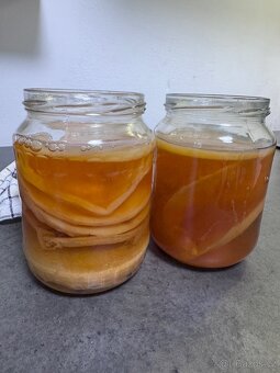 Kombucha - 2