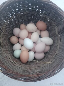 Domácí vajíčka - 2