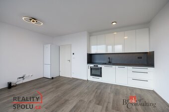 Pronájem, byty/1+kk, 44 m2, Železná 3061/10, Jižní Předměstí - 2