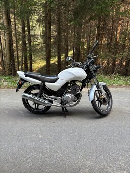 Yamaha YBR 125 - 2