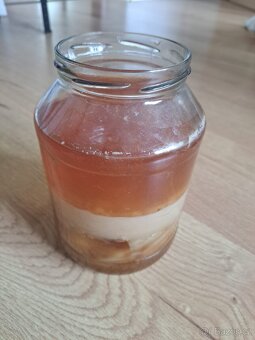 Kombucha s návodem na přípravu - 2