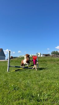 Pony hřebeček Fandík - 2