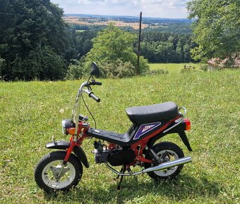 Babetta Stella 134 - 2
