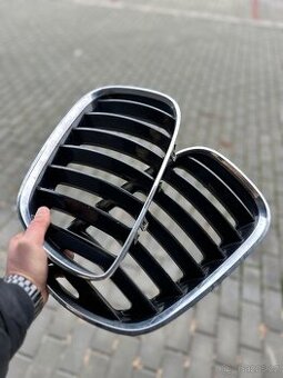 Ledvinky pro bmw x5 e53 - 2