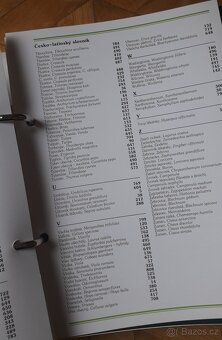 Květiny od A do Z - 2