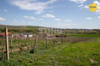 Pozemek pro rodinné vinařství s vinicemi na dvou par, 132041 - 2