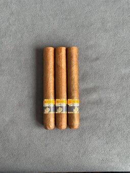Cohiba Siglo VI - 2