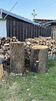 Dubový špalek na štípání - 2