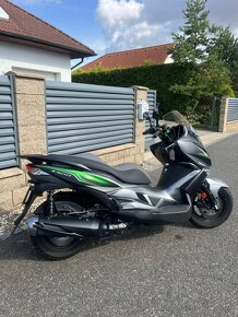 Kawasaki 300 - 2