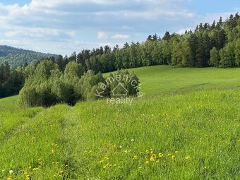 Prodej stavebního pozemku, Černá v Pošumaví - 2