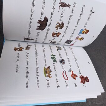 Kniha Pejsek a kočička na cestách - 2