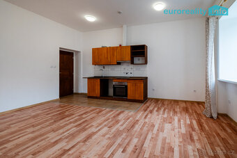 Pronájem, byt 3+kk, 58 m2, Luby, ul. Revoluční - 2