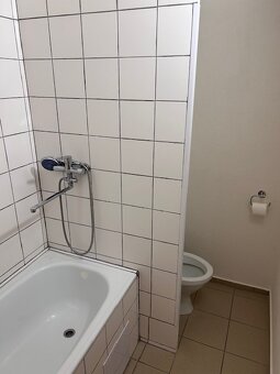 Pronájem bytu 1+1 - 2