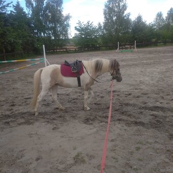 Sportovní pony - 2