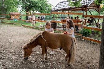 Venkovní ustájení - 2