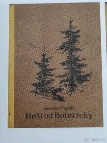 Foglar -knihy Kobes - 2
