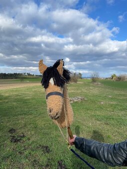 Hobby horse - 2