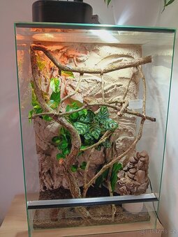 Terárium po chameleonovi - 2