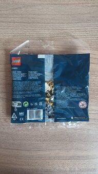 LEGO Harry Potter 30651 - Famfrpálový trénink - 2