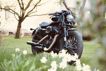 Harley Davidson Sportster Iron 883 1200 - 2