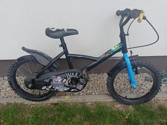 Kolo 16'' - 2