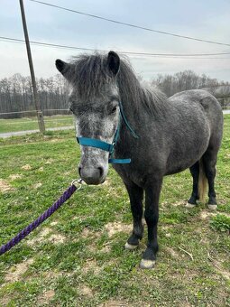 Valášek pony - 2