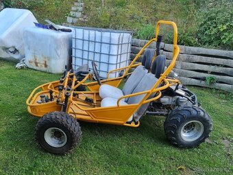 Buggy Hammerhead - 2
