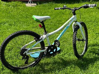 Kellys kitter 30 24" - 2