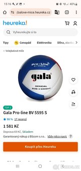 Volejbalový Míč Gala BV 5595S - 2