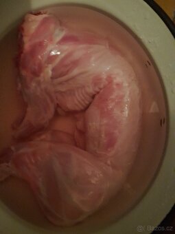 Německy obrovity strakač - 2