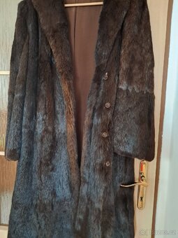 Kabat -krasný kožich - 2