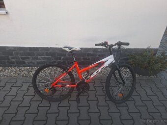 Dětské kolo 24 - 2