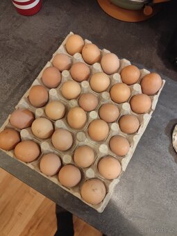 Násadová vejce - 2