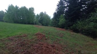 Nabídka prodeje louky/ pozemku v Milíkově – 3857 m² - 2