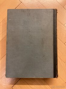 V boj Kronika ČS. Legie v Italii - 1915 - 1918 - 2