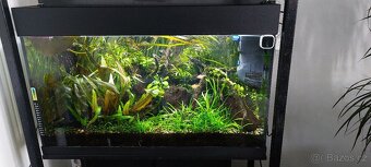 Prodám stojan se 2 akva Juwel Rio 125l a 2x OASE 250 filtr - 2