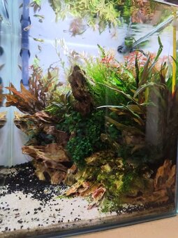 Prodám AquaEl Shrimp Smart DAY&NIGHT akvarijní set 30 l č - 2