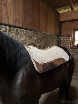 westernová podsedlová deka - 2