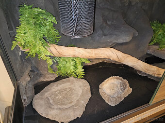 Terarium s podstavcem 180x80x80cm - 2