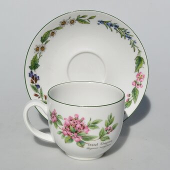 Bylinková porcelánová sada -cajnik +dvojset +mlékovka +hrnek - 2