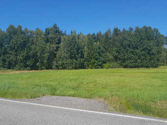 STAVEBNÍ POZEMEK 4757 m2 u Dvora Králové - 2